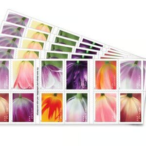 2023 Stamps Tulip Blossoms, 1000 Pcs